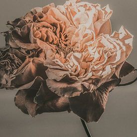 Signatur 04 von Floortje Louise