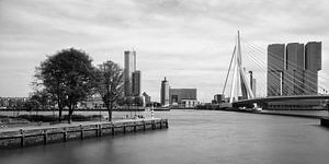 Skyline Erasmusbrug en Kop van Zuid vanaf Leuvehaven