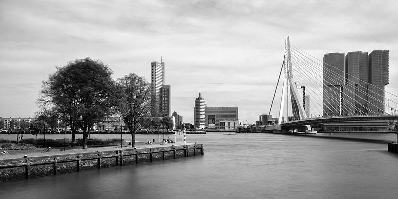 Skyline Erasmusbrug en Kop van Zuid vanaf Leuvehaven van Mark De Rooij