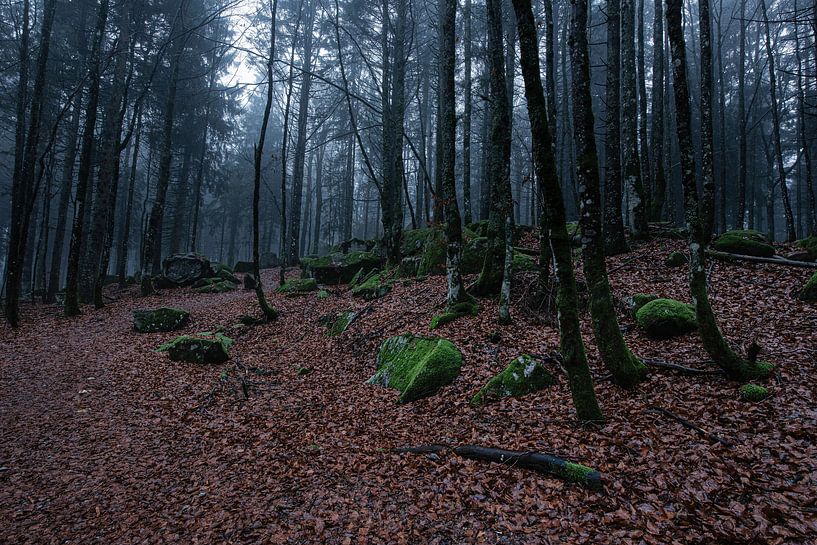 Deutschland - Schwarzwald - Günterfelsen von Shooting-Art