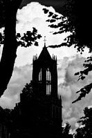 Der Dom von Utrecht im Gegenlicht