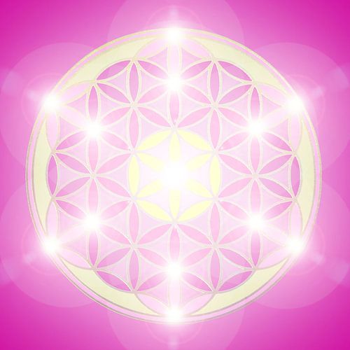 Die Blume des Lebens