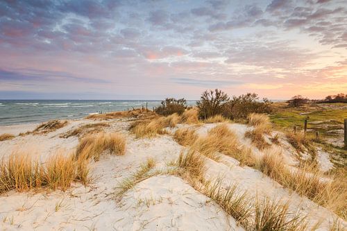 Baltic beach by Ursula Reins