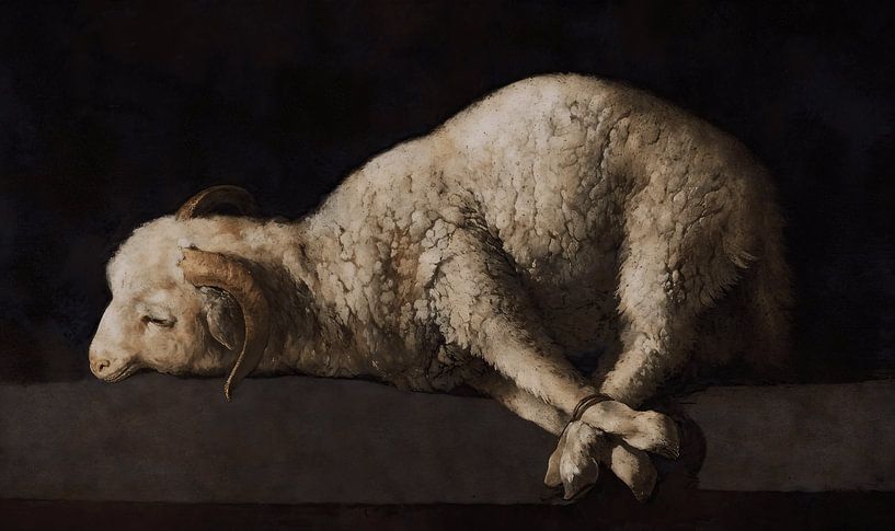 Agnus Dei - Francisco de Zurbarán von Accessible Art