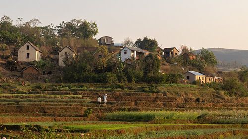 Women on the way home at the end of the day