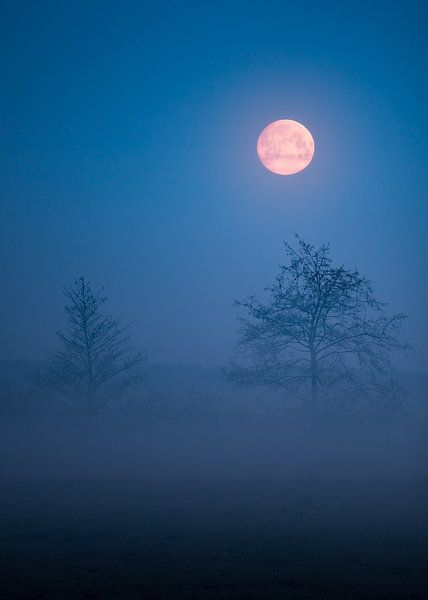 Supermoon by Jeroen Lagerwerf