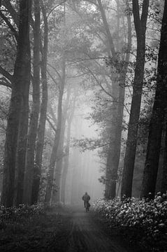 Einsamer Radfahrer im Nebel