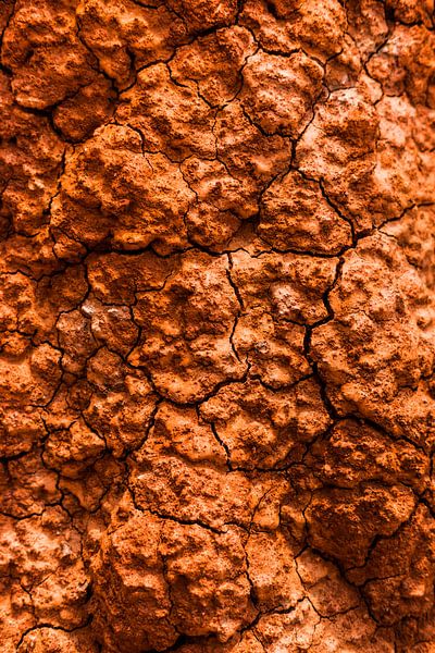 Droogte in de Tatacoa-woestijn van Teuntje Fleur