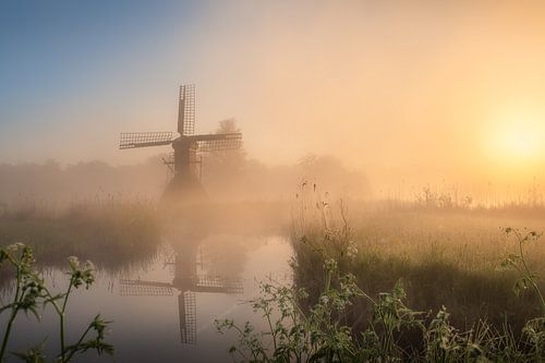 Gardien de brume. sur Marco Lok