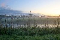 fog in the morning