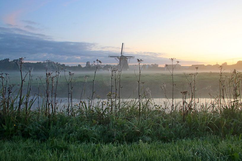 fog in the morning by Mariska Vonk