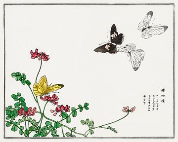 Morimoto Toko - Butterflies and Flowers van Creativity Building