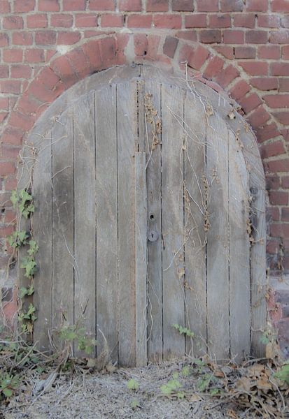 Kelderdeur by Fatima Maria Mernisi