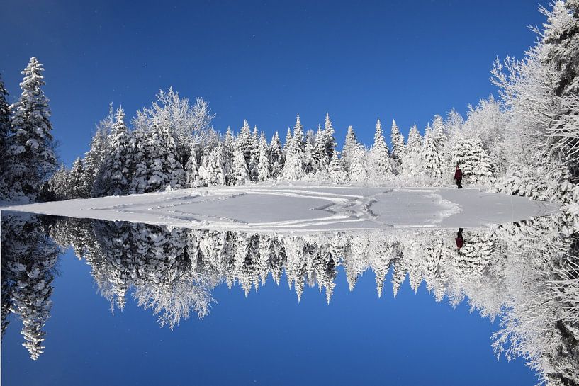 First snow on the forest by Claude Laprise