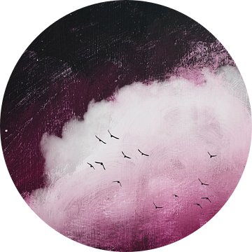 Nachthemel - Wolk - Vogels