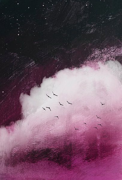 Nachthimmel - Wolke - Vögel von Dirk Wüstenhagen
