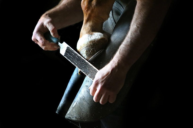 Farrier in Ireland by Wybrich Warns