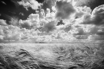 Clouds van Danny Taheij