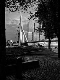 Erasmus Bridge by Patrick van Lion