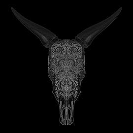 Stierschädel Illustration