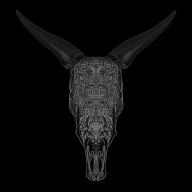 Bull Skull illustration by Justin Sinner Pictures ( Fotograaf op Texel)