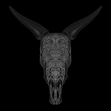 Illustration d'un crâne de taureau sur Justin Sinner Pictures ( Fotograaf op Texel)