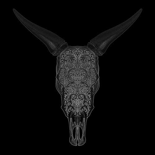 Bull Skull illustratie