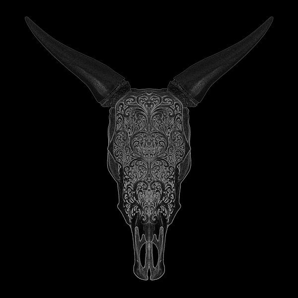 Bull Skull illustratie van Justin Sinner Photography ( Fotograaf op Texel)
