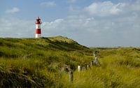 Graslandschap aan de kust met vuurtoren