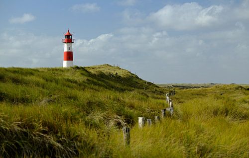 Graslandschap aan de kust met vuurtoren