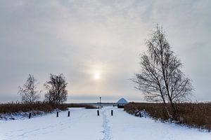 Winter on a lake with snow van Rico Ködder