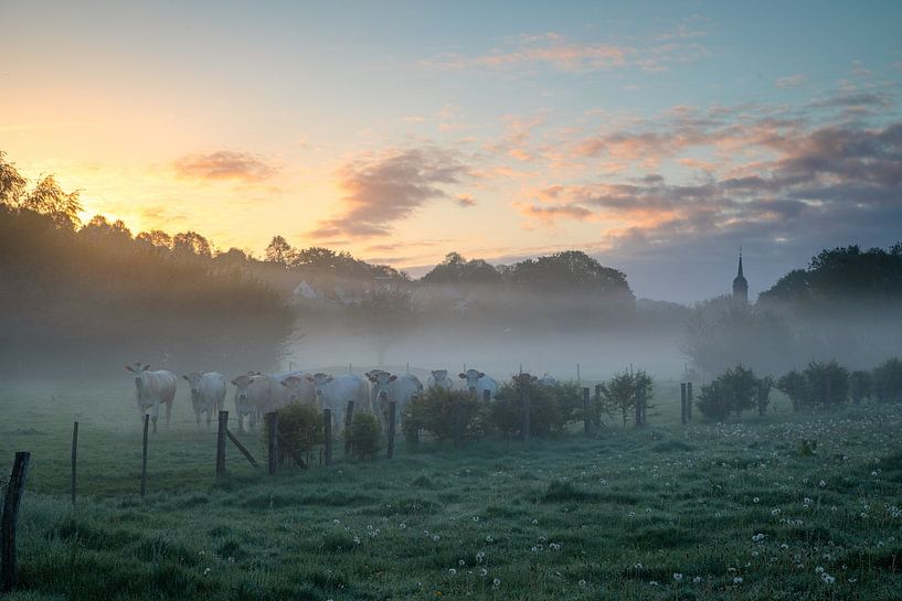 Regards curieux dans la brume par Peter Kuipers