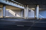Walker in Leidsche Rijn, Utrecht by André Bouterse thumbnail