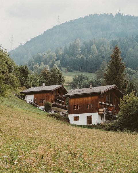 Zwitserland 9 van Sanne van Es