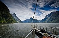 Segeln in Milford Sound - Neuseeland von Ricardo Bouman Miniaturansicht