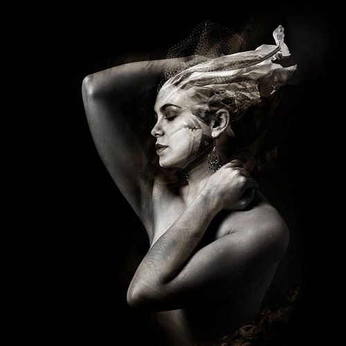 Artefact 3 sur Stoffel Beyens