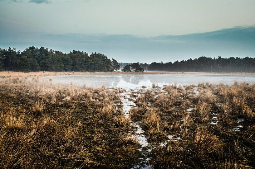 Ruhe auf der Strabrechtse Heide von @Pixelsenses