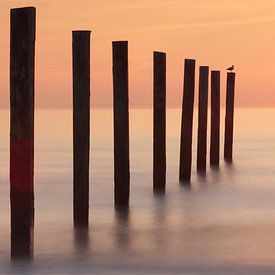 Zonsondergang aan de Nederlandse kust van Hester Hielkema