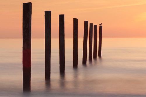 Sunset on the Dutch coast