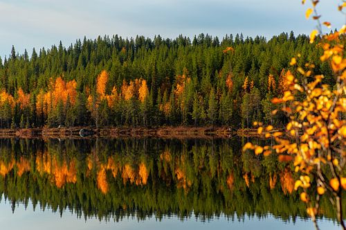 Miroir des saisons - Couleurs d'automne au bord d'un lac dans le nord de la Suède