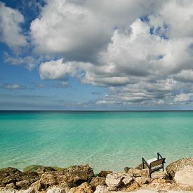 De Caribische Zee von Eelkje Colmjon