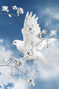 La colombe blanche sur Marja van den Hurk
