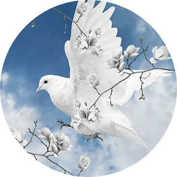 The White Dove van Marja van den Hurk
