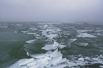 Angeschwemmtes Schelfeis am Ufer eines zugefrorenen Sees von Sjoerd van der Wal