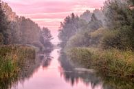 Herbst De Elzen Dordrecht von Rob van der Teen Miniaturansicht