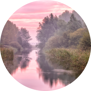 Herfst De Elzen Dordrecht van Rob van der Teen