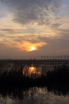 Sunrise at park Lingezegen Arnhem Elst by Bobsphotography