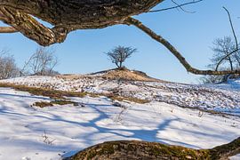 Amsterdam Water Supply Dunes in the snow by Merijn Loch