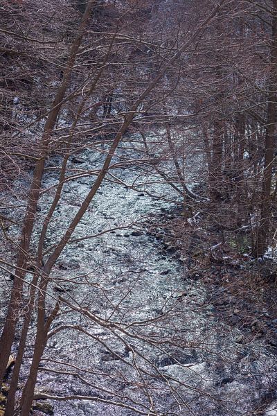 Bodetal, Thale, Harz, Saksen-Anhalt, Duitsland van Torsten Krüger