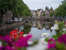 Rapenburg à Leyde, décoré de fleurs